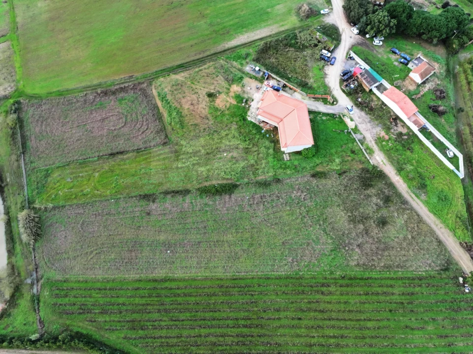 Terreno para Venda em Moita dos Ferreiros Foto 3