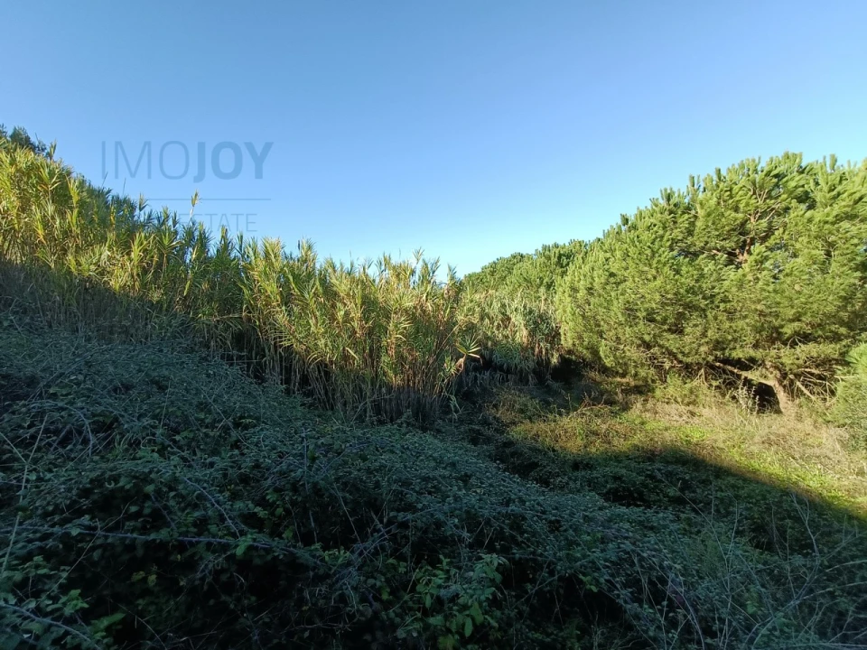 Terreno para Venda em Caparica e Trafaria Foto 1
