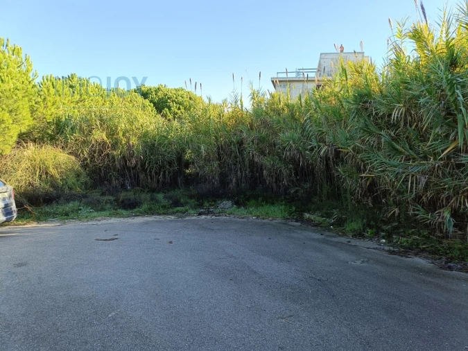 Terreno para Venda em Caparica e Trafaria Foto 5
