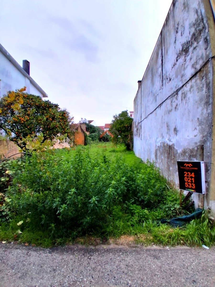 Terreno para Venda em Mealhada, Ventosa do Bairro e Antes Foto 6