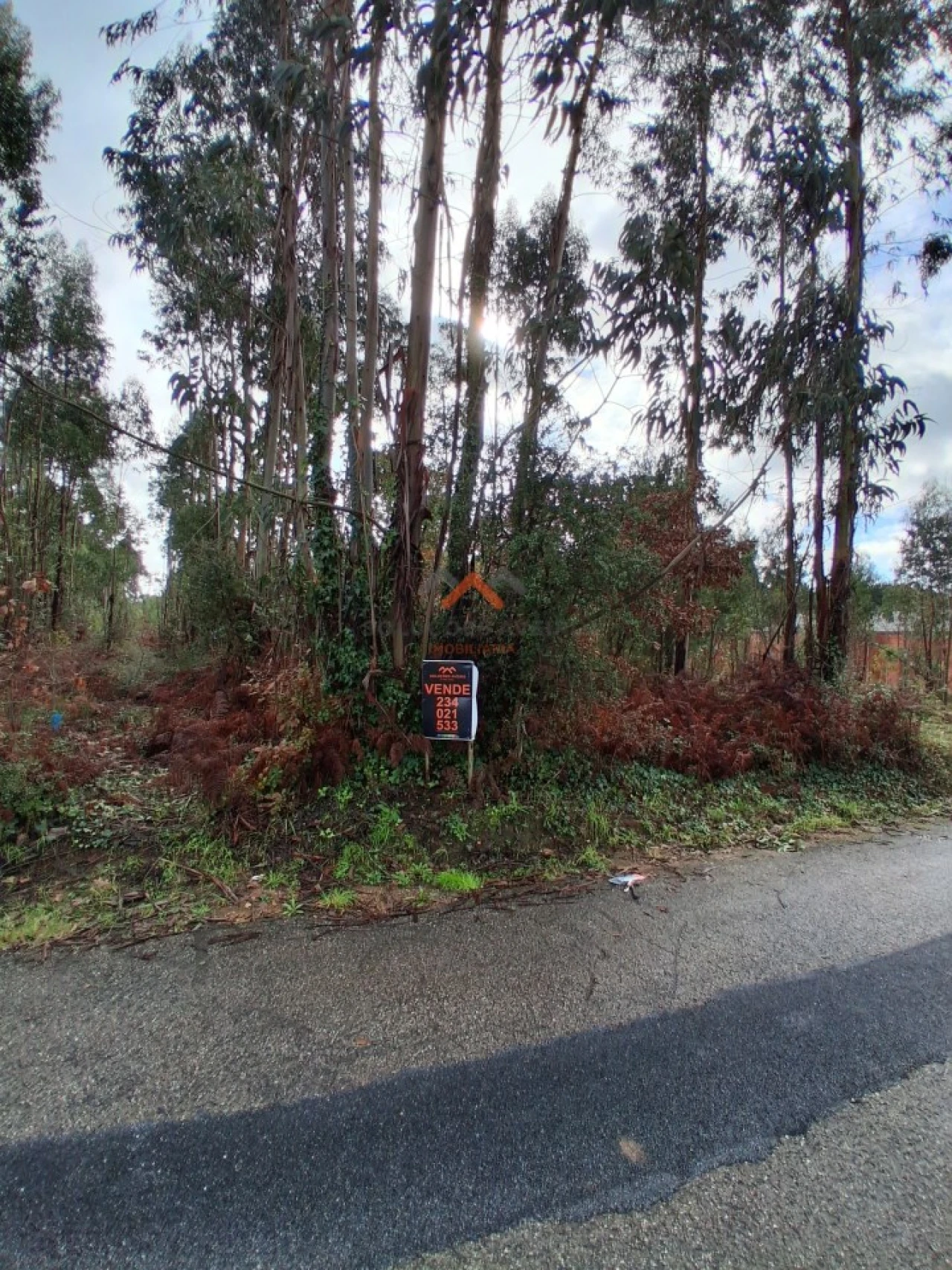 Terreno para Venda em Sangalhos Foto 4