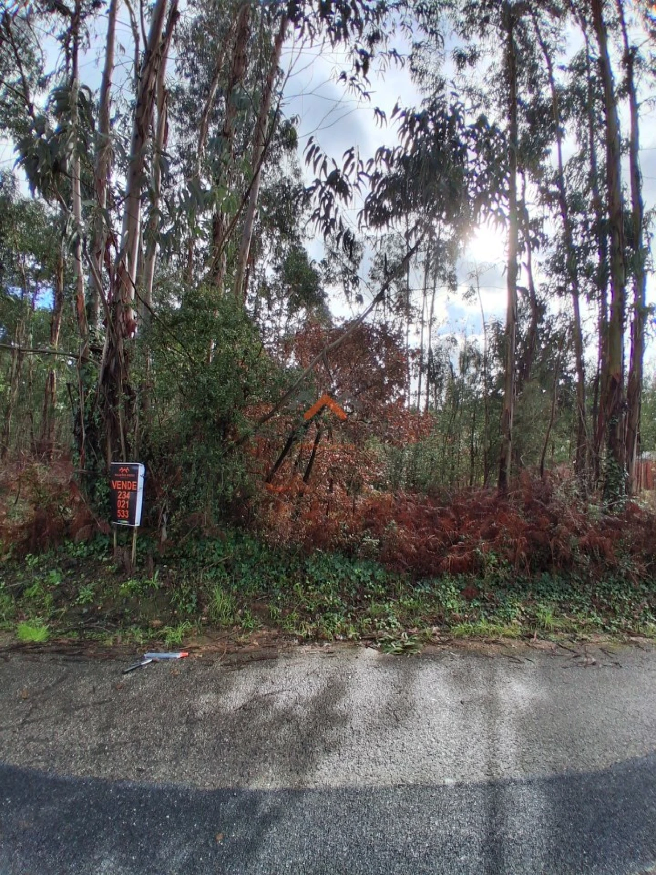 Terreno para Venda em Sangalhos Foto 5