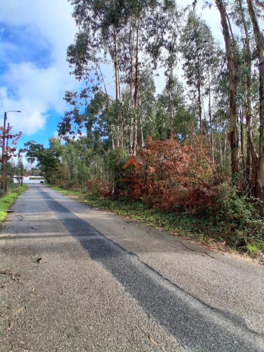 Terreno para Venda em Sangalhos Foto 3