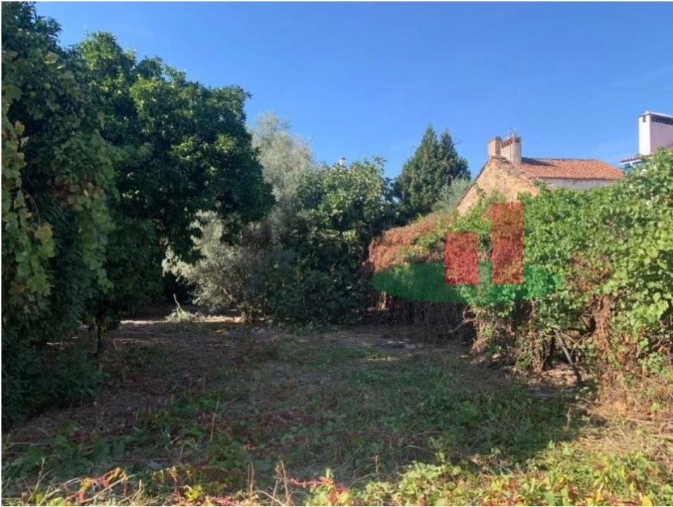 Moradia T2 para Venda em São Miguel do Rio Torto e Rossio Ao Sul do Tejo Foto 13