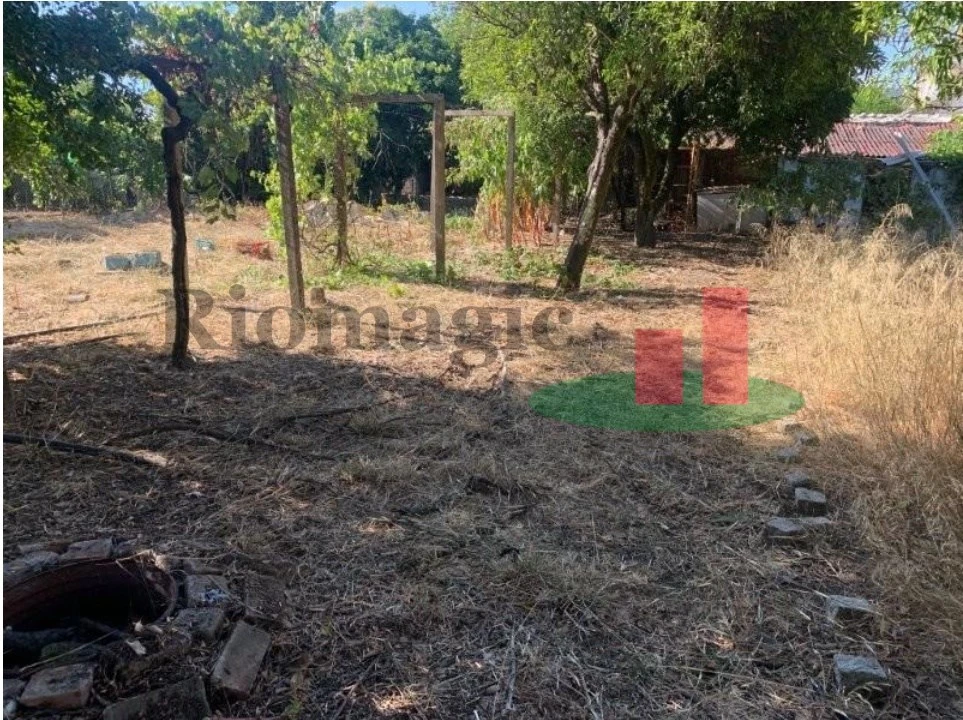 Moradia T2 para Venda em São Miguel do Rio Torto e Rossio Ao Sul do Tejo Foto 16