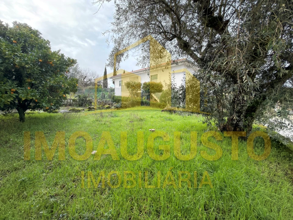 Moradia T3 para Venda em Ratoeira Foto 20