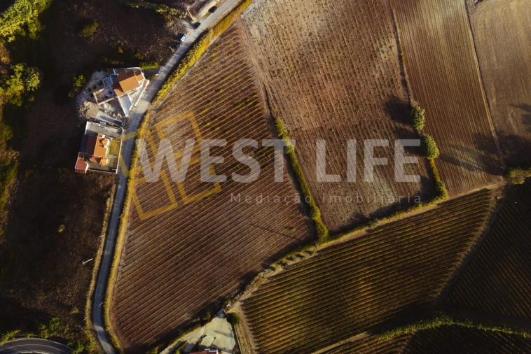 Moradia T3 para Venda em Ericeira Foto 17