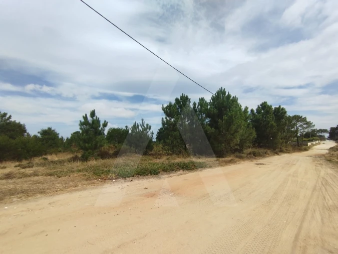 Terreno para Venda em Fernao Ferro Foto 3