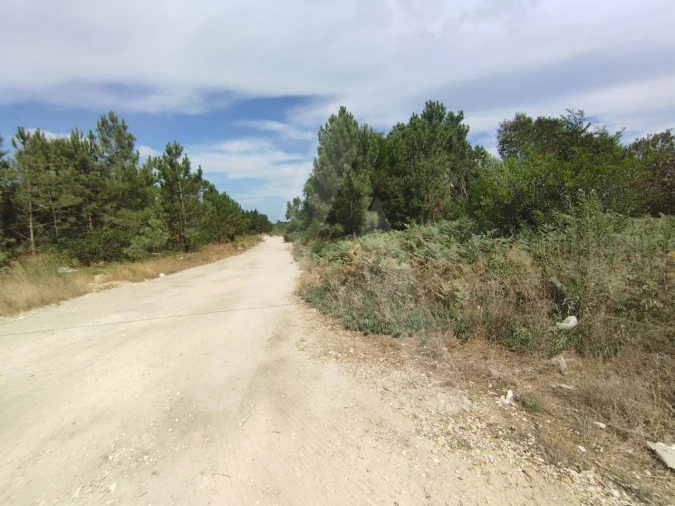Terreno para Venda em Fernao Ferro Foto 4