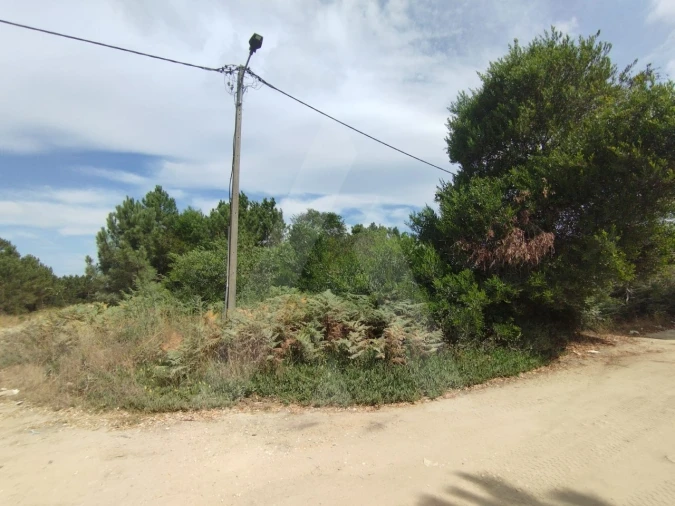 Terreno para Venda em Fernao Ferro Foto 5