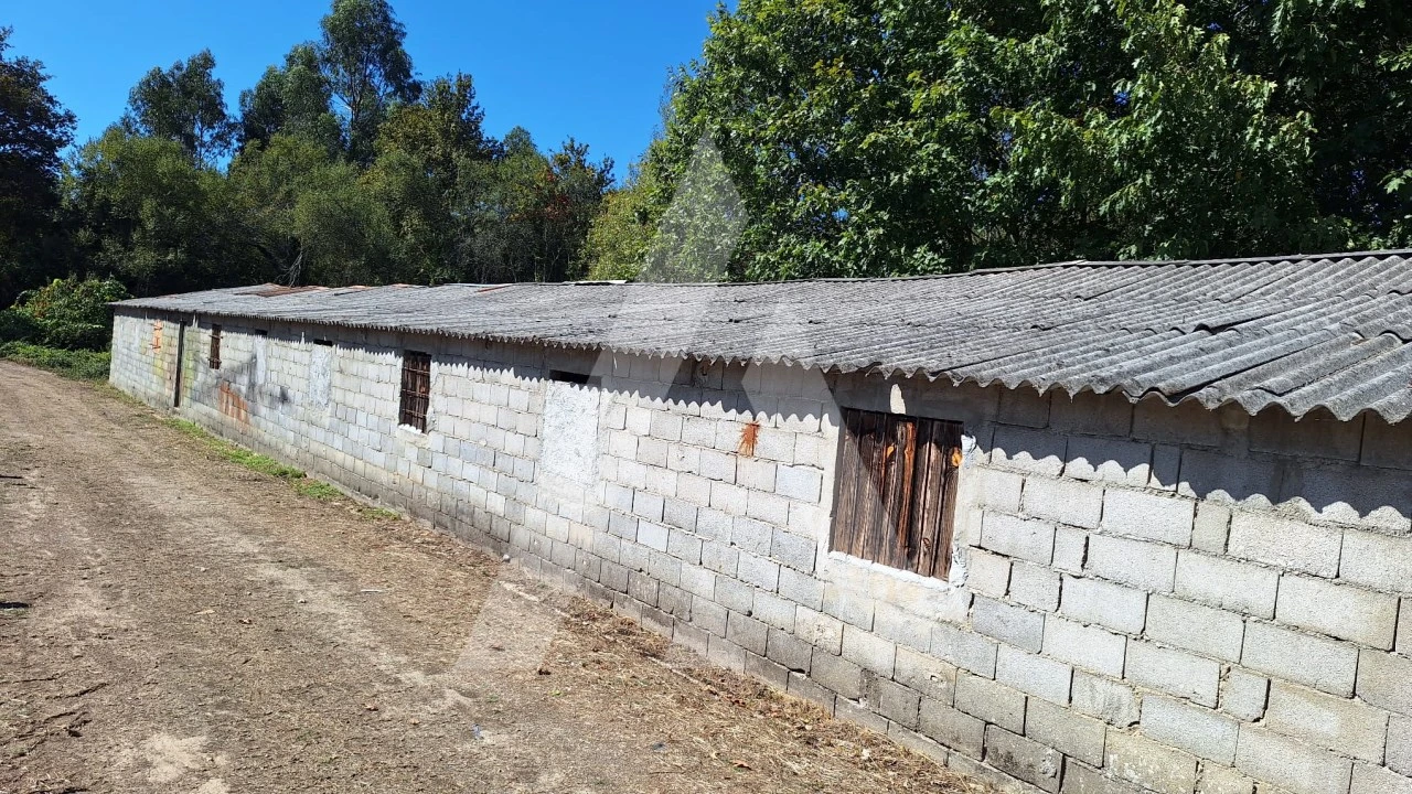 Armazém para Arrendamento em Bordonhos Foto 2