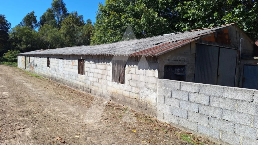 Armazém para Arrendamento em Bordonhos Foto 3