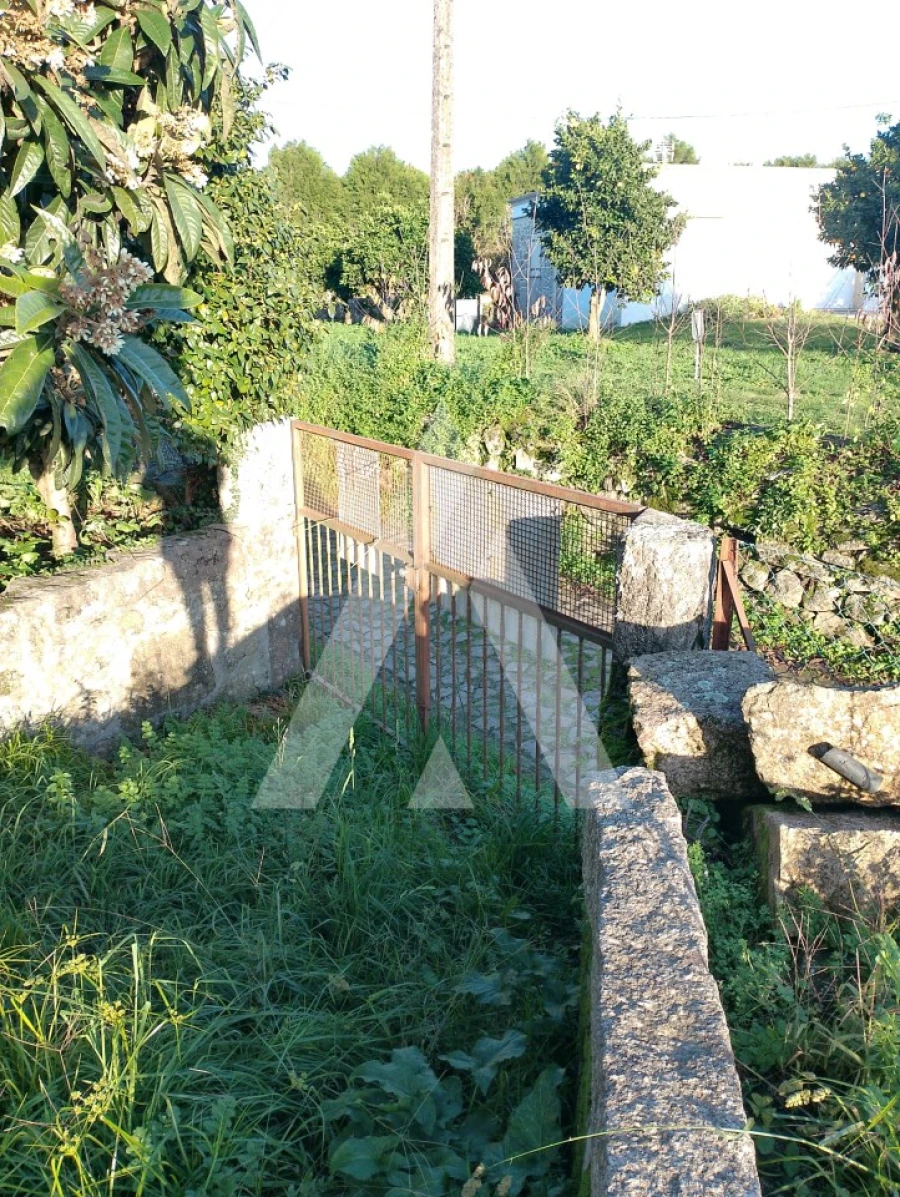 Terreno para Venda em Subportela, Deocriste e Portela Susã Foto 4