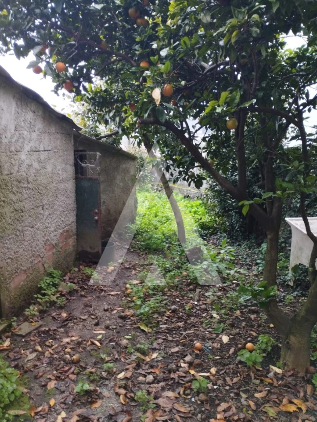 Terreno para Venda em Santa Marta de Portuzelo Foto 8