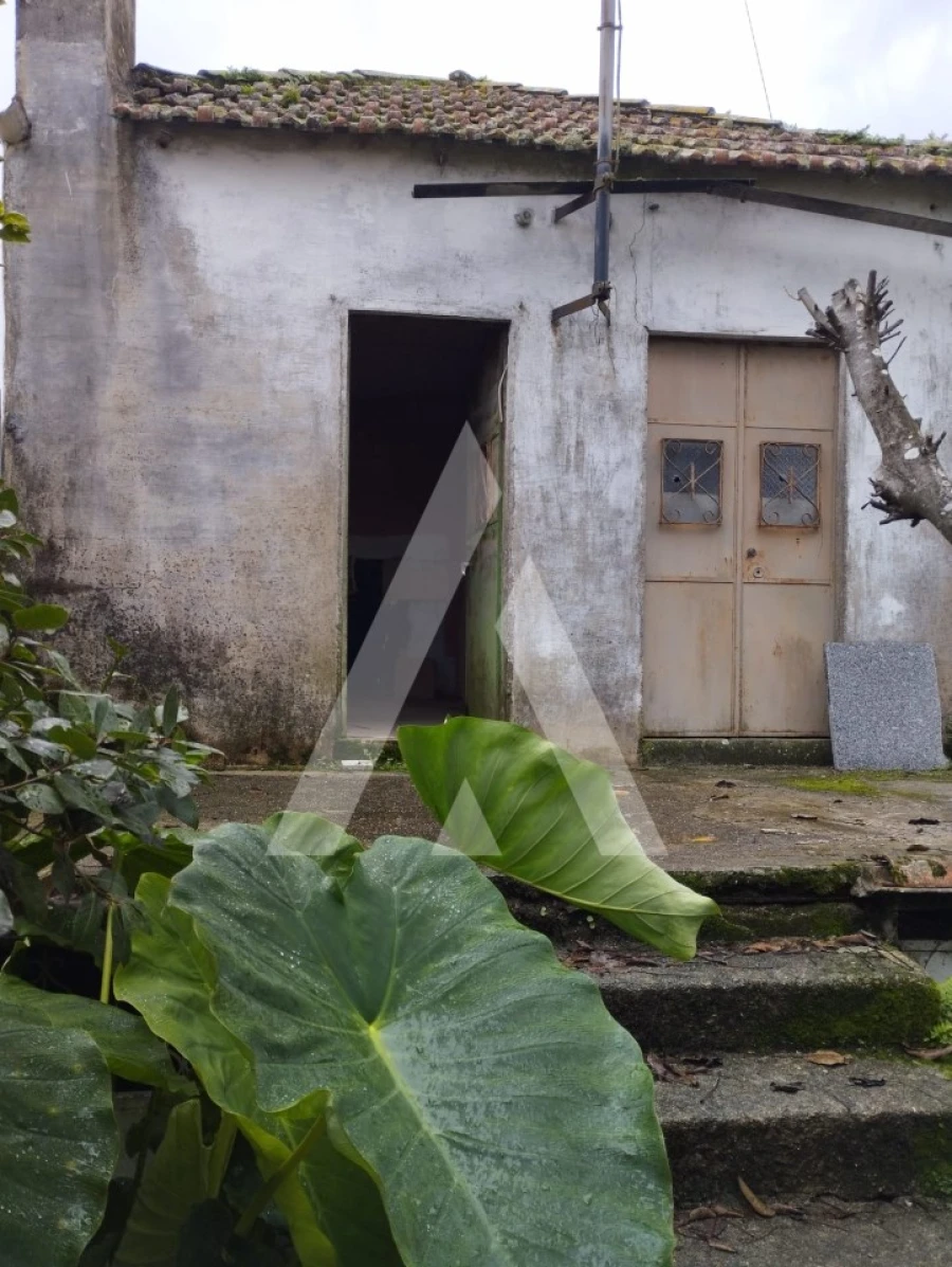 Terreno para Venda em Santa Marta de Portuzelo Foto 2
