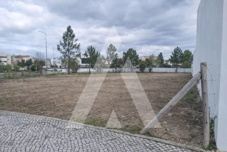 Terreno para Venda em Sebal e Belide Foto 4