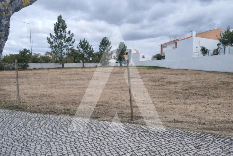 Terreno para Venda em Sebal e Belide Foto 5