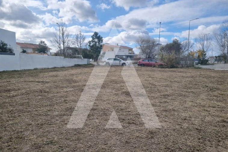 Terreno para Venda em Sebal e Belide Foto 6