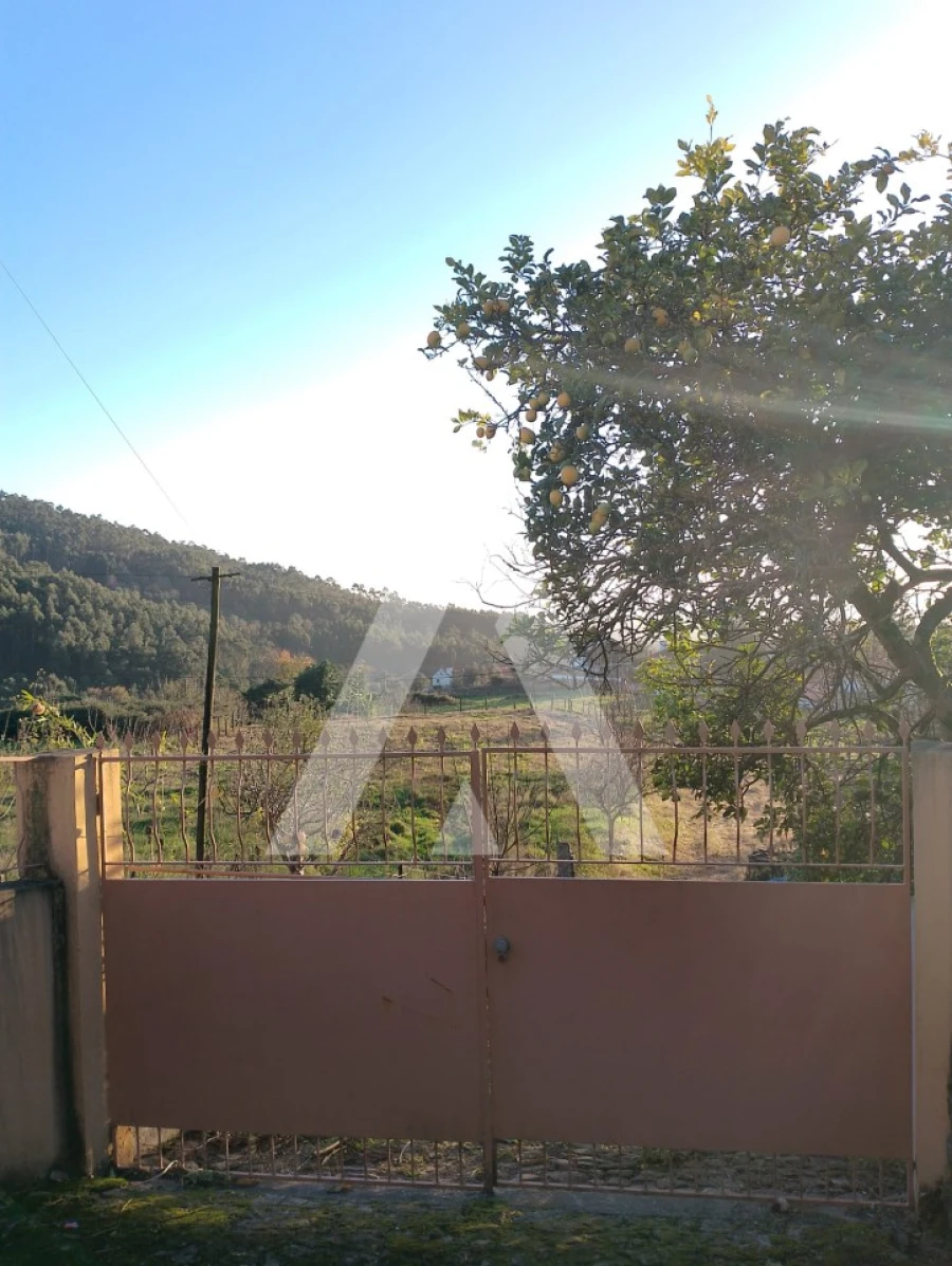 Terreno para Venda em Subportela, Deocriste e Portela Susã Foto 1