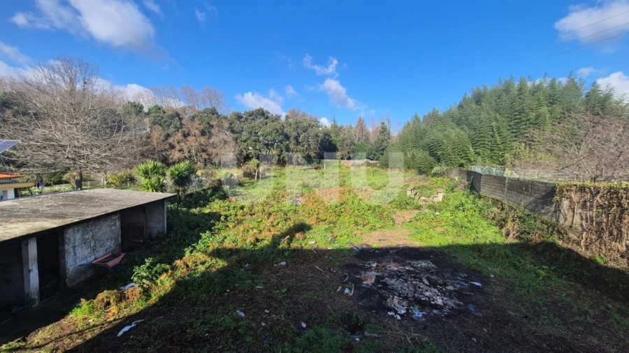 Moradia T3 para Venda em Santa Maria de Lamas Foto 40