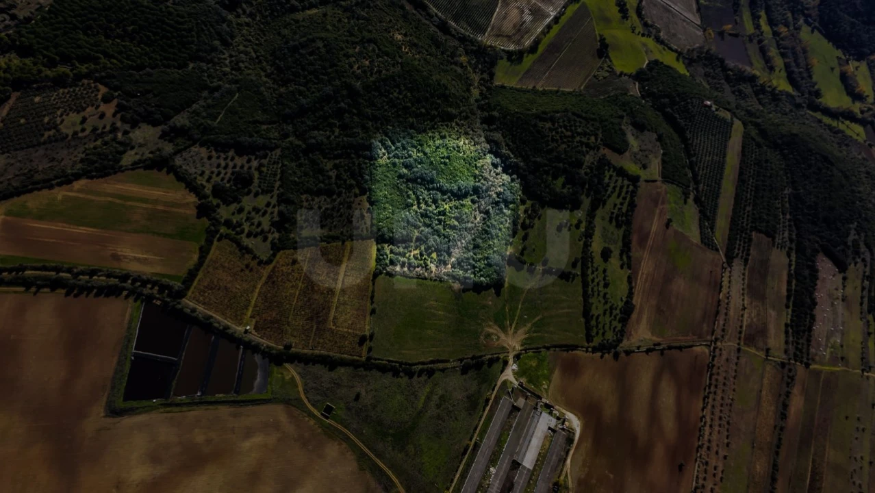 Terreno Agricola ou Rústico para Venda em Almoster Foto 2