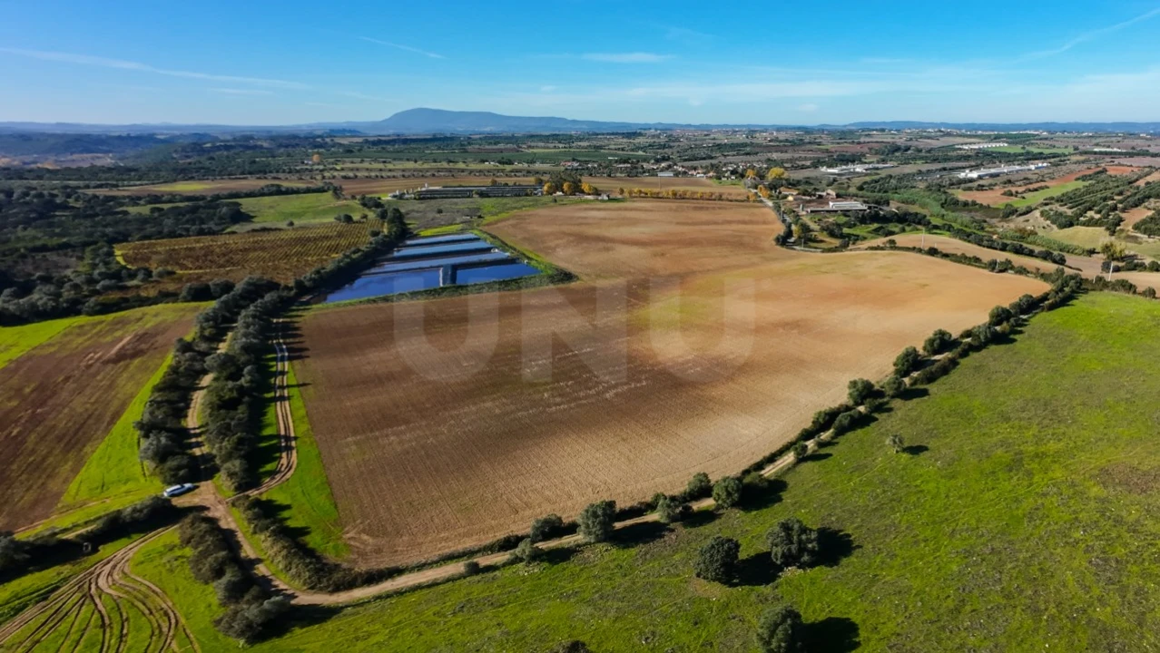 Terreno Agricola ou Rústico para Venda em Almoster Foto 6