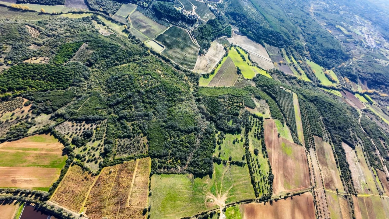 Terreno Agricola ou Rústico para Venda em Almoster Foto 8