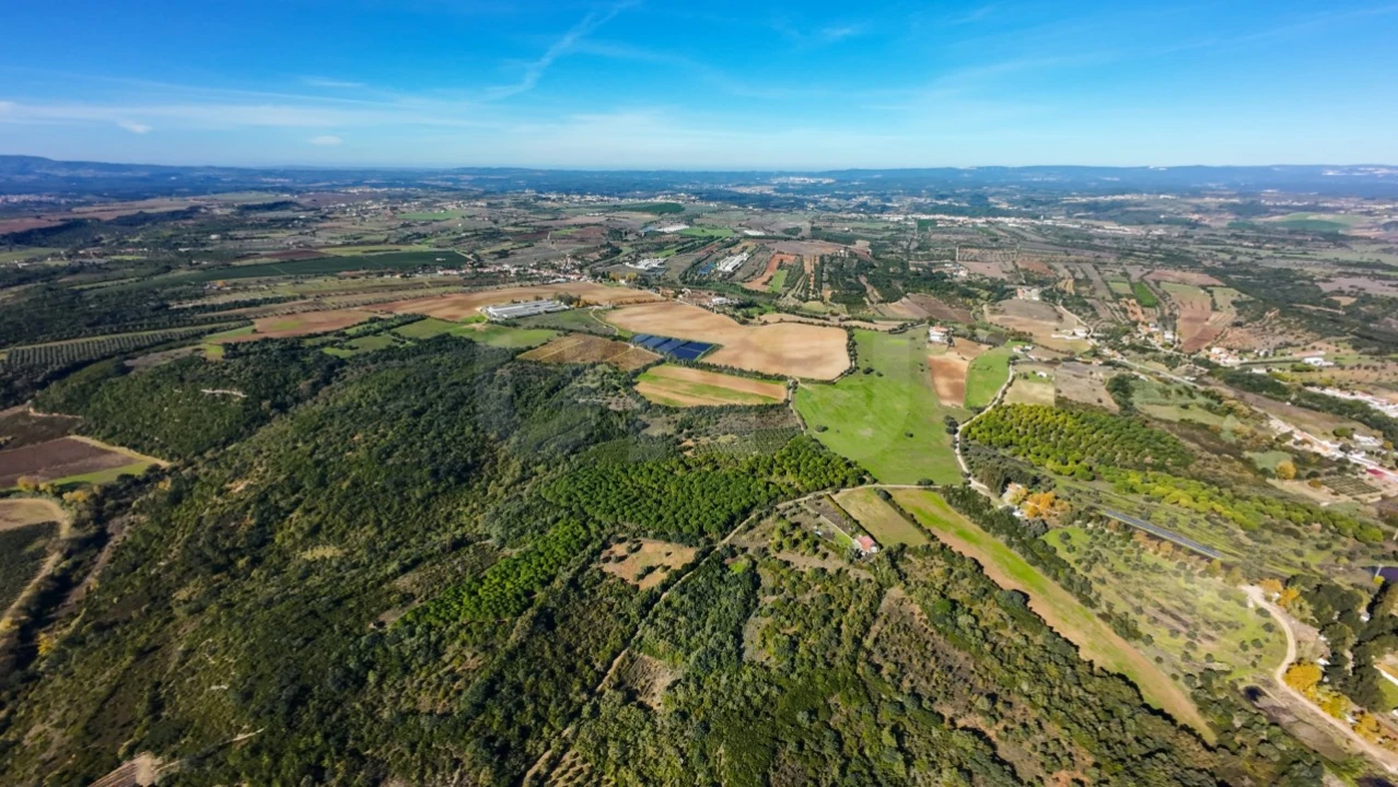 Terreno Agricola ou Rústico para Venda em Almoster Foto 13