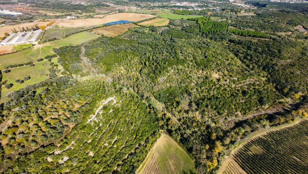 Terreno Agricola ou Rústico para Venda em Almoster Foto 15