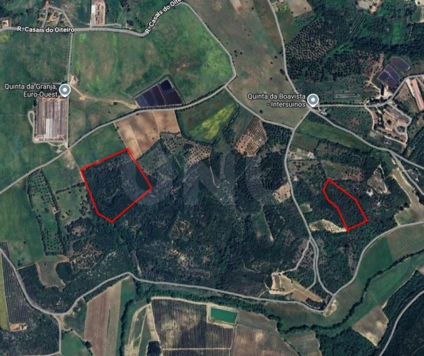 Terreno Agricola ou Rústico para Venda em Almoster Foto 19