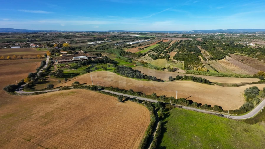 Terreno Agricola ou Rústico para Venda em Almoster Foto 7