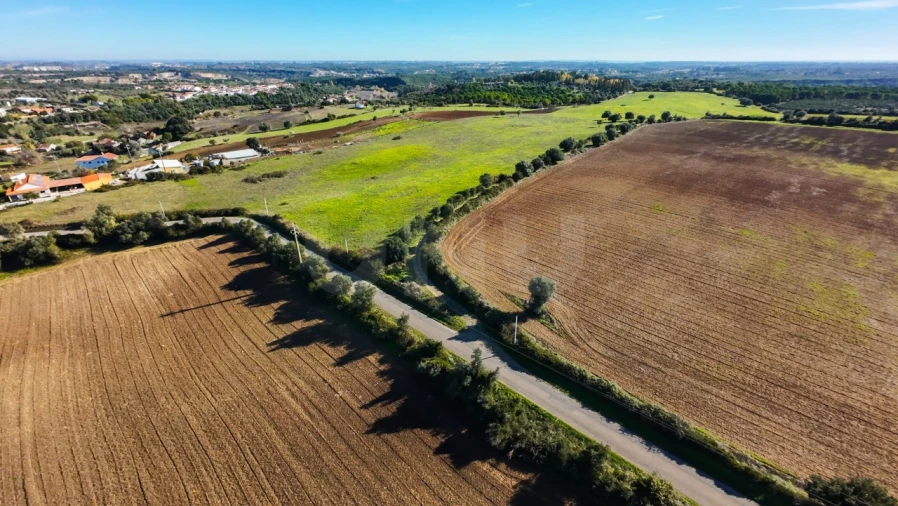Terreno Agricola ou Rústico para Venda em Almoster Foto 5