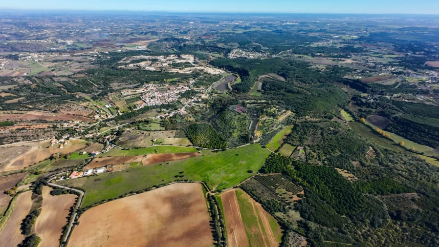Terreno Agricola ou Rústico para Venda em Almoster Foto 17