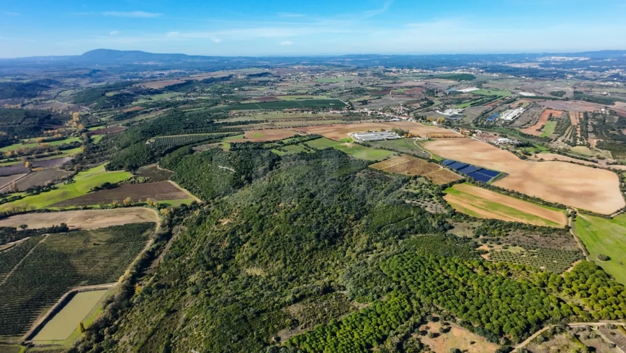 Terreno Agricola ou Rústico para Venda em Almoster Foto 14