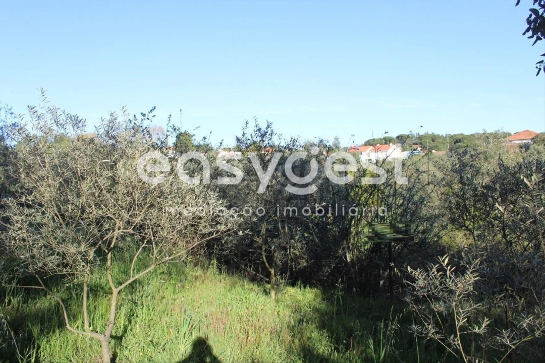 Moradia T2 para Venda em Asseiceira Foto 8