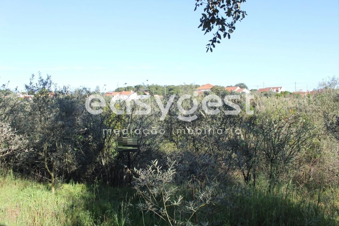 Moradia T2 para Venda em Asseiceira Foto 12