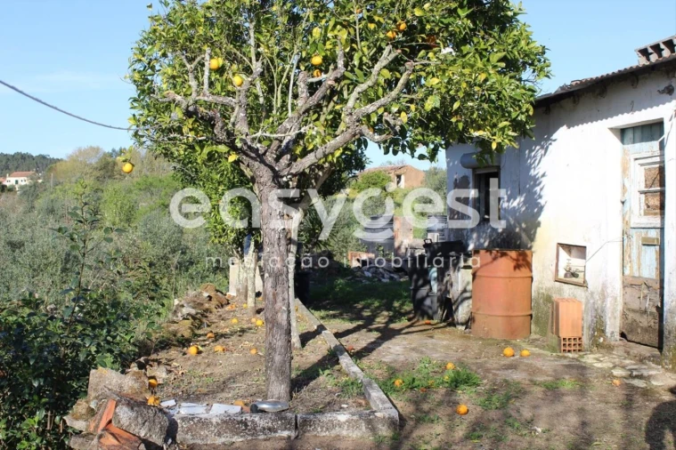 Moradia T2 para Venda em Asseiceira Foto 6