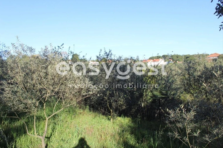 Moradia T2 para Venda em Asseiceira Foto 8