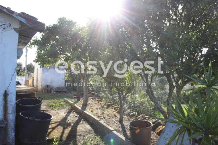 Moradia T2 para Venda em Asseiceira Foto 9