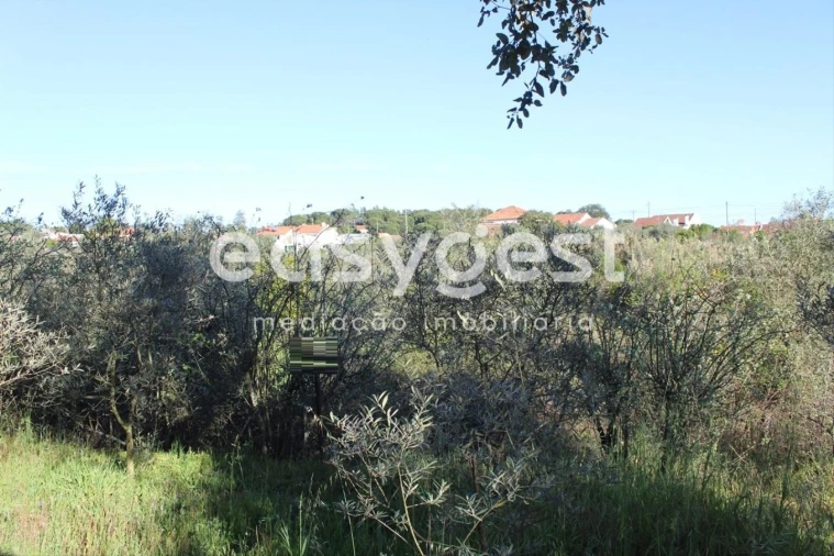 Moradia T2 para Venda em Asseiceira Foto 12