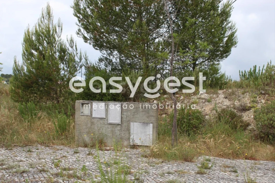 Terreno para Venda em São João Baptista e Santa Maria dos Olivais Foto 3