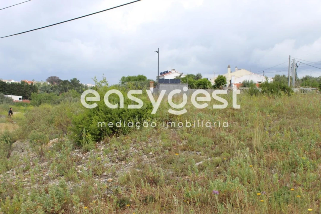 Terreno para Venda em São João Baptista e Santa Maria dos Olivais Foto 6