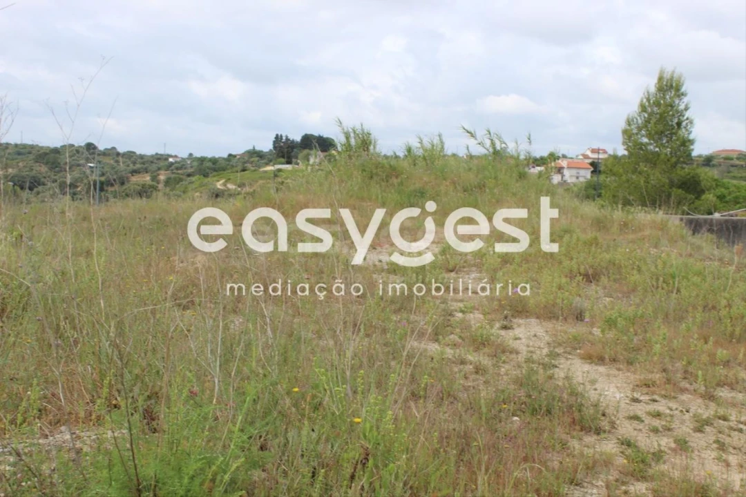 Terreno para Venda em São João Baptista e Santa Maria dos Olivais Foto 10