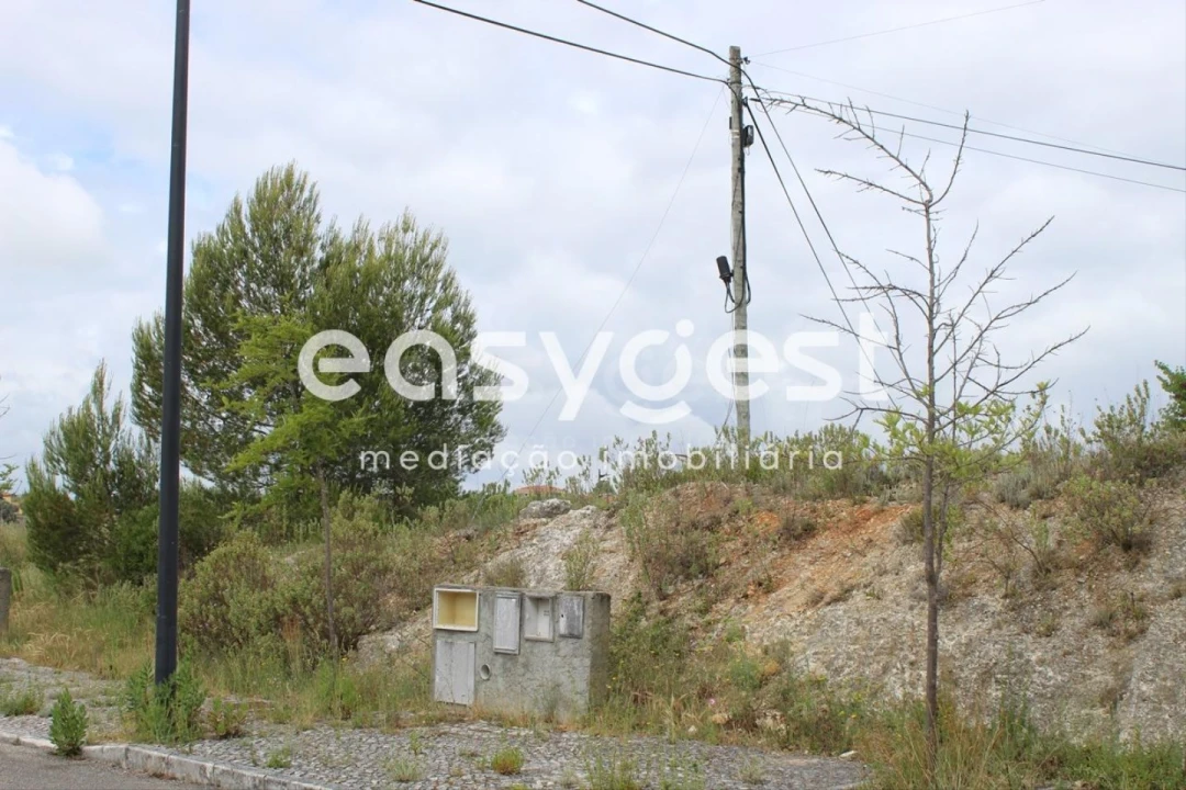 Terreno para Venda em São João Baptista e Santa Maria dos Olivais Foto 12