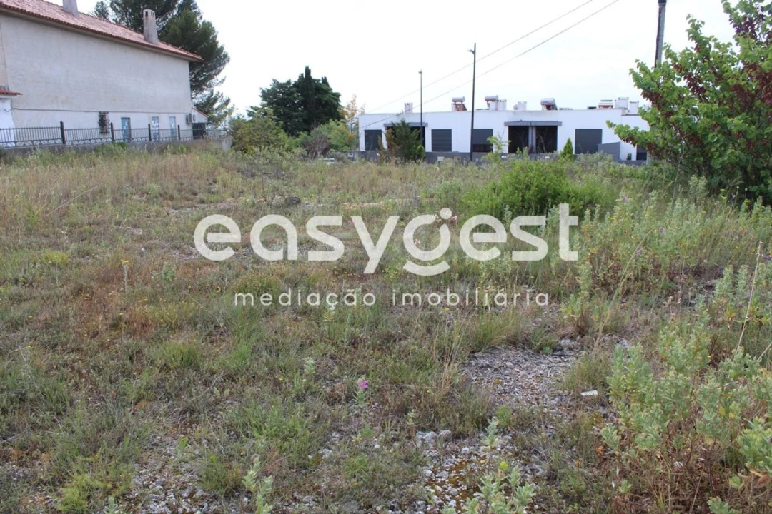 Terreno para Venda em São João Baptista e Santa Maria dos Olivais Foto 14