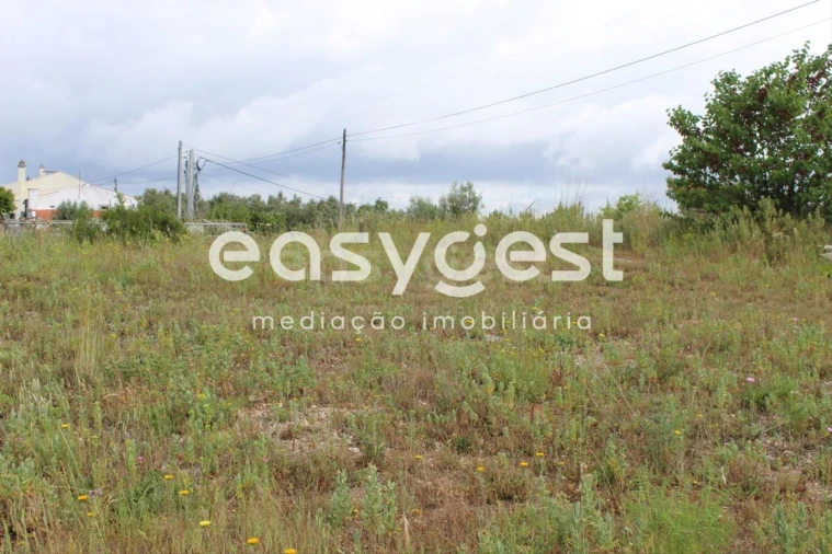 Terreno para Venda em São João Baptista e Santa Maria dos Olivais