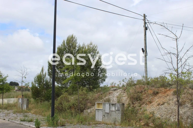 Terreno para Venda em São João Baptista e Santa Maria dos Olivais Foto 2