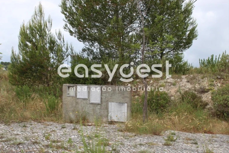 Terreno para Venda em São João Baptista e Santa Maria dos Olivais Foto 3