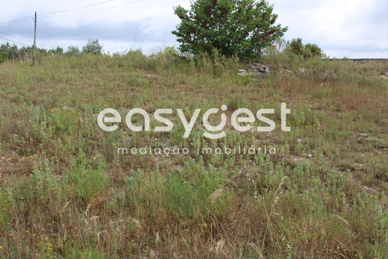 Terreno para Venda em São João Baptista e Santa Maria dos Olivais Foto 4