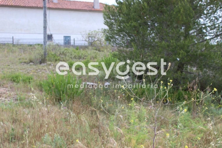 Terreno para Venda em São João Baptista e Santa Maria dos Olivais Foto 5